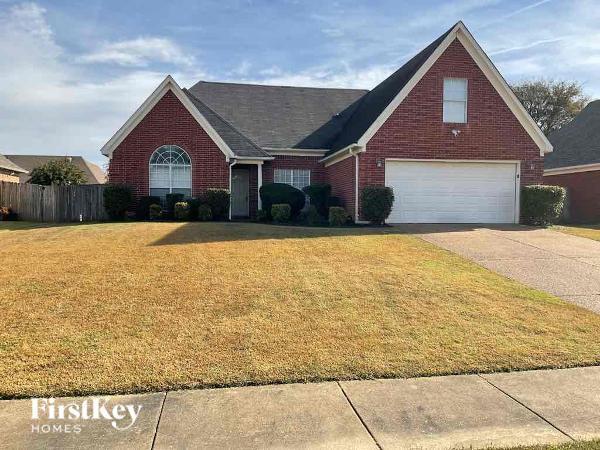 Foto principal - 7738 Piney Ridge Cove