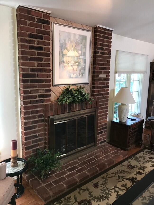 Chimenea a gas - 2365 Broadmont Ct