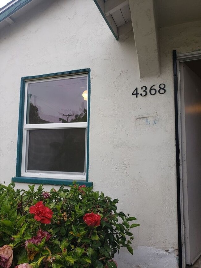 Building Photo - 4368 Maple St