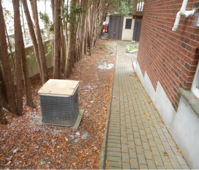 L'appartement avec accès direct au jardin est situé au-dessus du rez-de-chaussée. - 107 Emma St