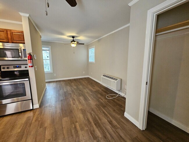 Foto del edificio - 211 1/2 N Madison - Summer Lease