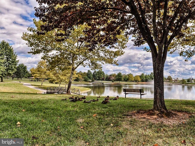 Lake Whittier - 2400 Dominion Dr
