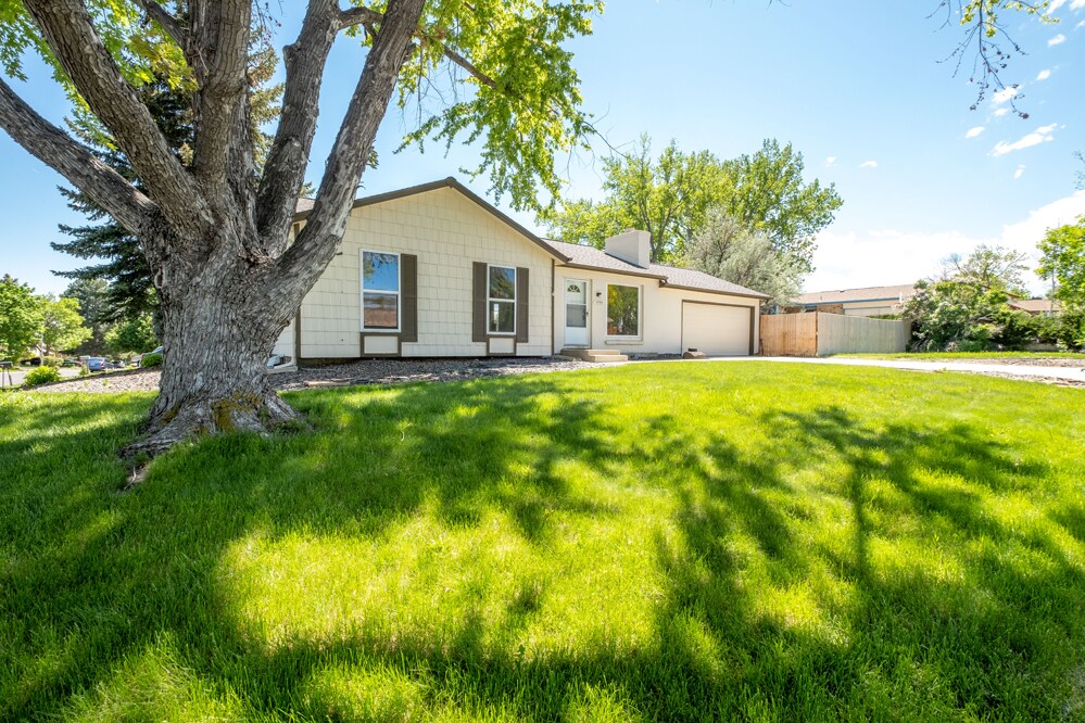 Photo - 1599 Cedar St (Broomfield, CO)