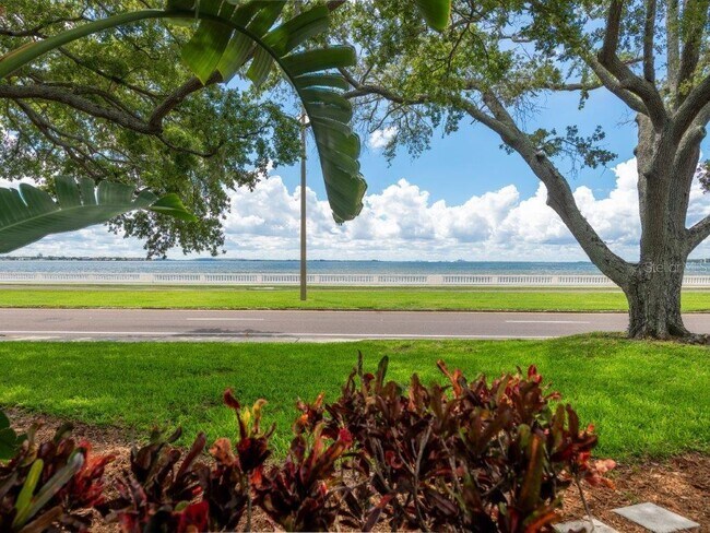 Building Photo - 2809 Bayshore Blvd