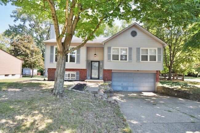 Photo - 647 Regent Rd House