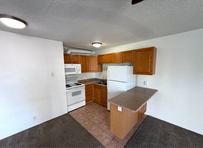 Studio Apartment in DU Area-Parking and Storage! - Studio Apartment in DU Area-Parking and Storage!