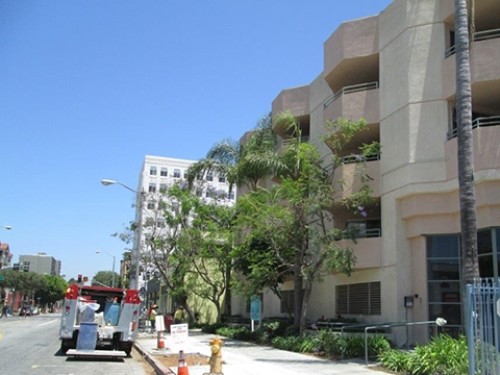 Building Photo - Center View