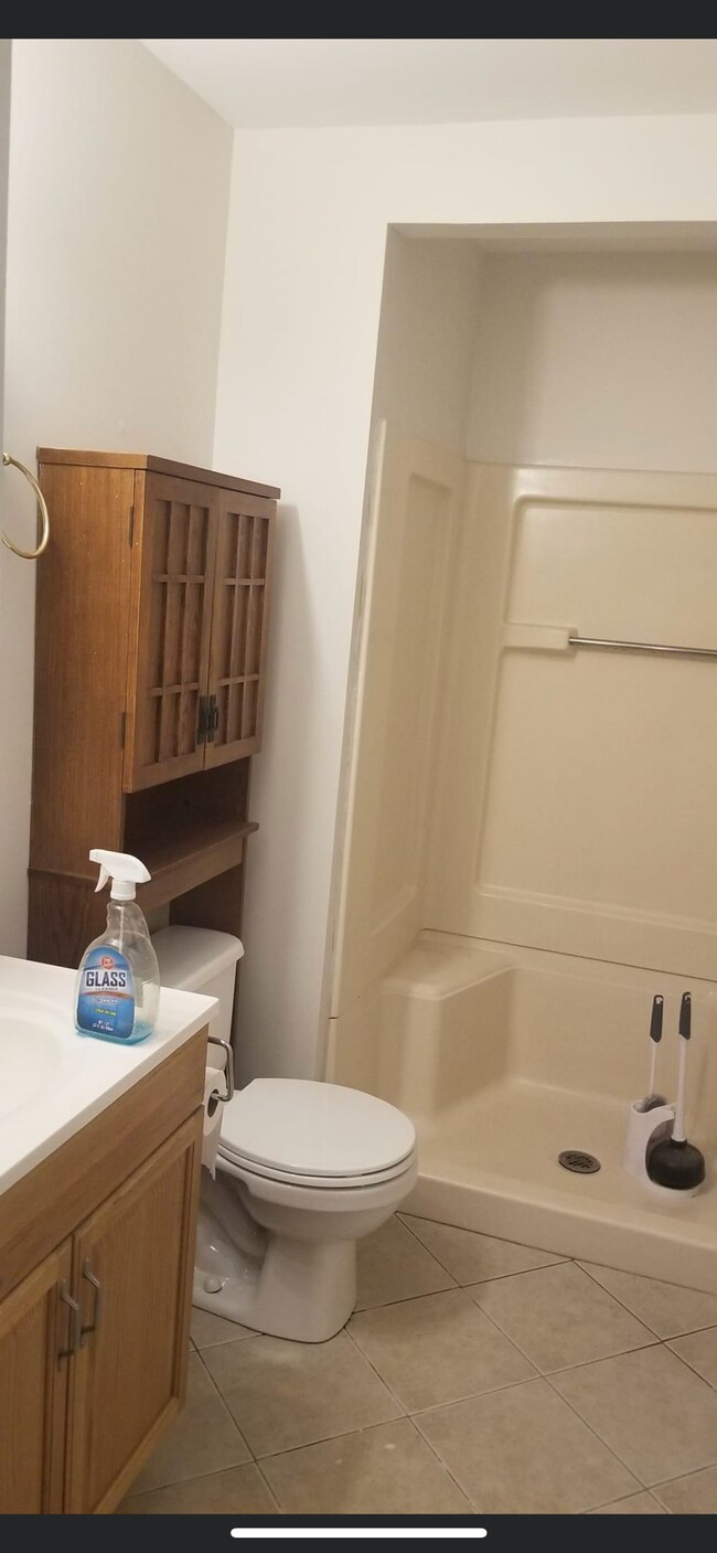 Bathroom - 423 Elmwood Ave
