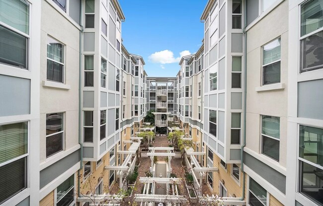 Building Photo - 655 12th Street #411 - 2 bedroom |  2 bath...