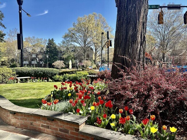 Foto del edificio - 229 N Poplar St