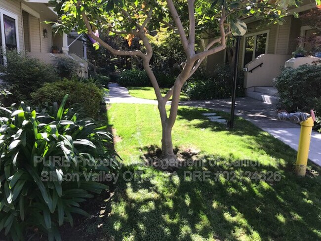 Building Photo - 991 La Mesa Ter