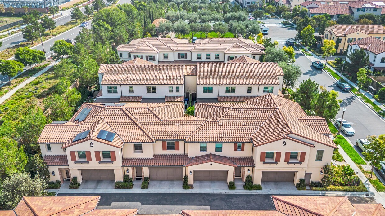 Foto principal - 110 Okra