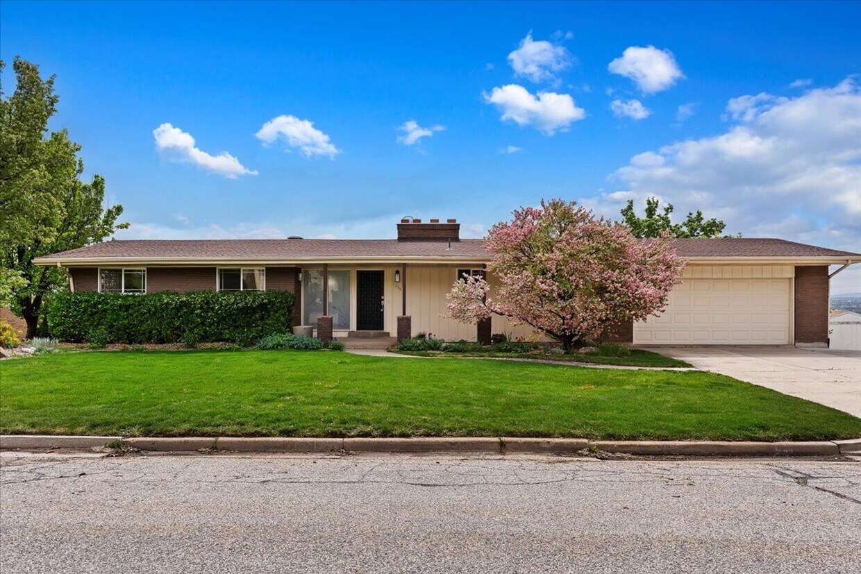 Primary Photo - Perfect Family Home! 5 Beds, 3 Baths in Pl...
