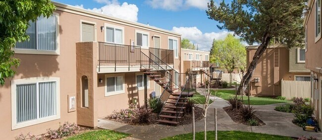 imagen 2 - La Loma Terrace