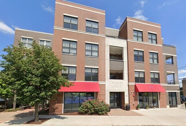 229 Park Ave Unit 313  