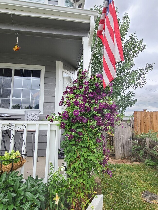 established clematis on front porch - 3938 S Halifax St