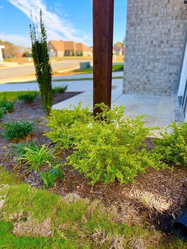 Foto del edificio - 4372 Ravenwood Park W