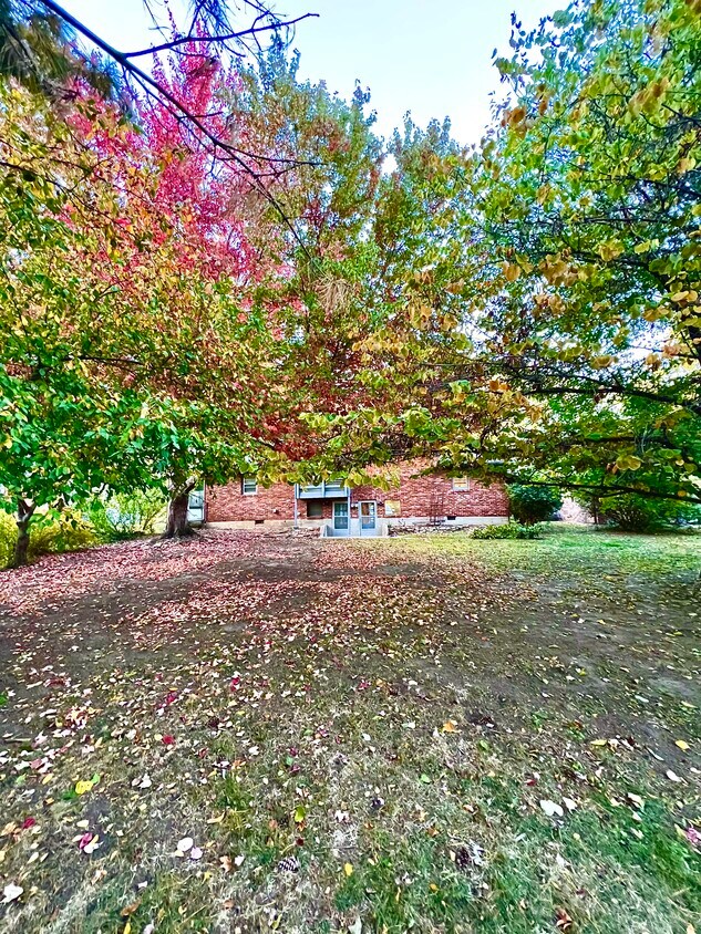 Foto principal - 1311 W Linden Ave