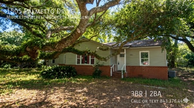 Building Photo - 1505 Palmetto Dr