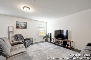 Building Photo - 6542 Cibolo Springs