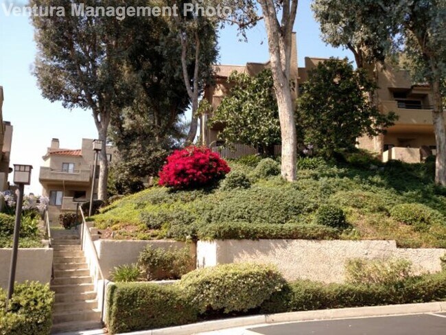 Foto del edificio - 187 McAfee Ct