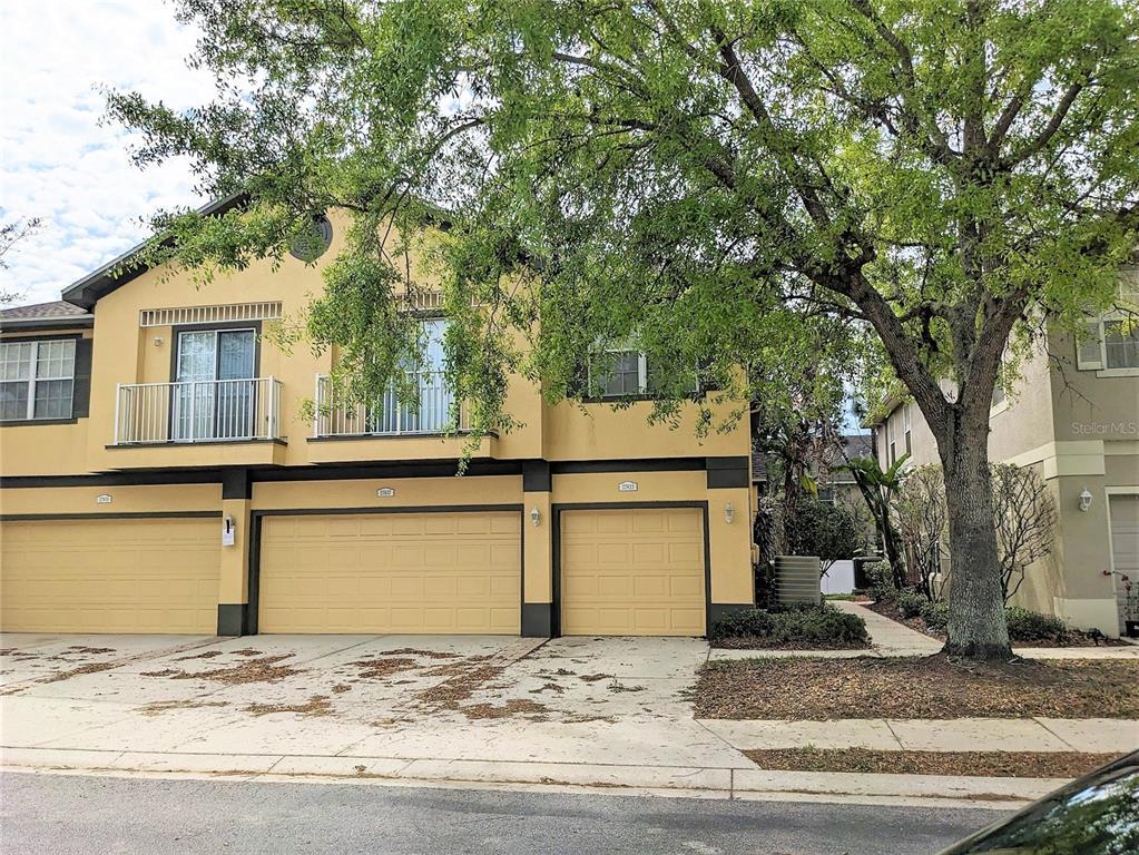 27837 Pleasure Ride Loop, Wesley Chapel, FL 33544 Townhome Rentals in Wesley Chapel FL