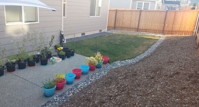 Backyard2 - 17825 41st Dr SE