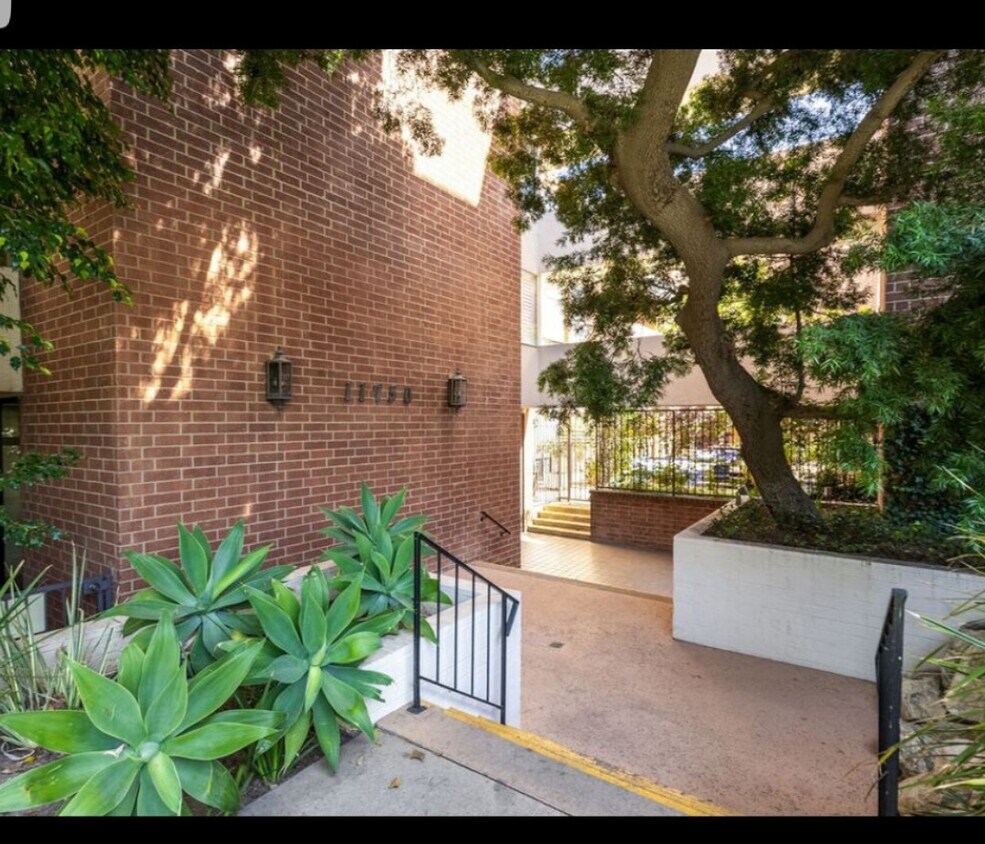 25 Condos for Rent in Brentwood, CA Westside Rentals