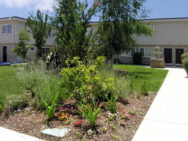 Patio - Whitman Villa Townhomes