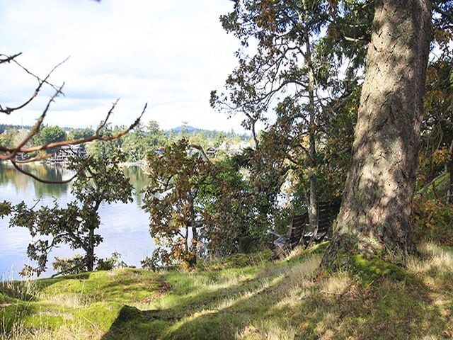 Vue de Christie Point de l’entrée avec arbres - Christie Point