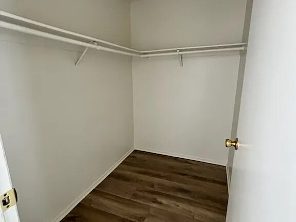 Foto del edificio - 216 Cypress Ave