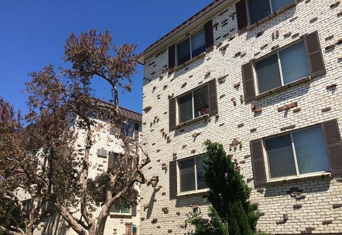 Foto principal - 1 bedroom in Englewood CO 80113