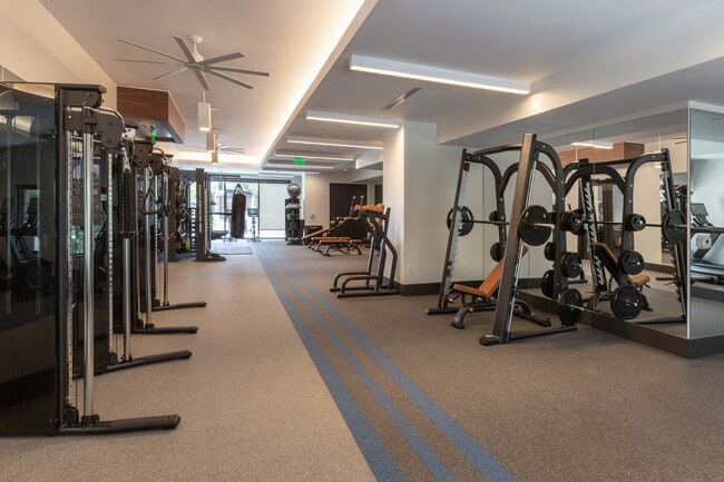 Fitness Center Strength Equipment - Loria Ansley Apartments