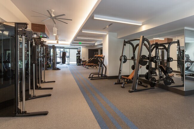 Equipo de fuerza para gimnasio - Loria Ansley
