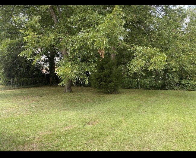 Large backyard/ partially fenced - 2611 4th Ave