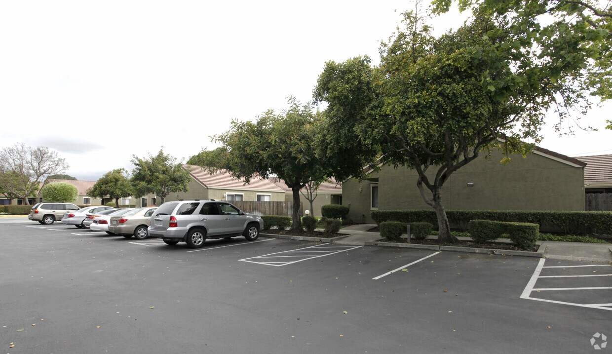 Building Photo - Olive Tree Plaza