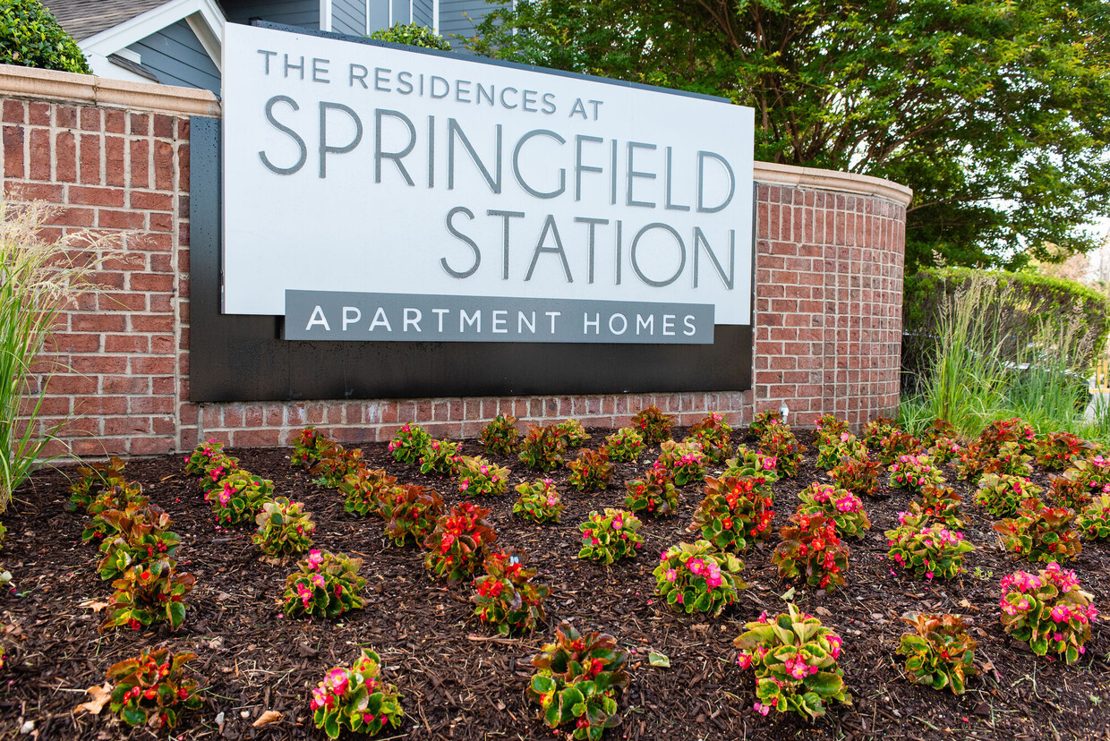 Primary Photo - Residences at Springfield Station