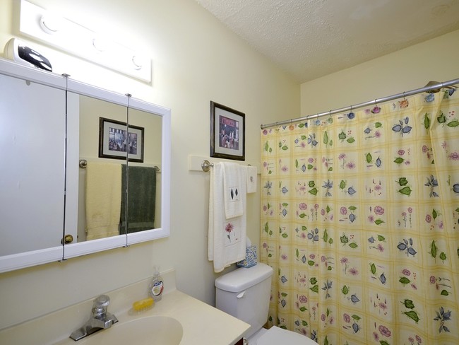 Foto del edificio - 953 Jonathan Creek Rd