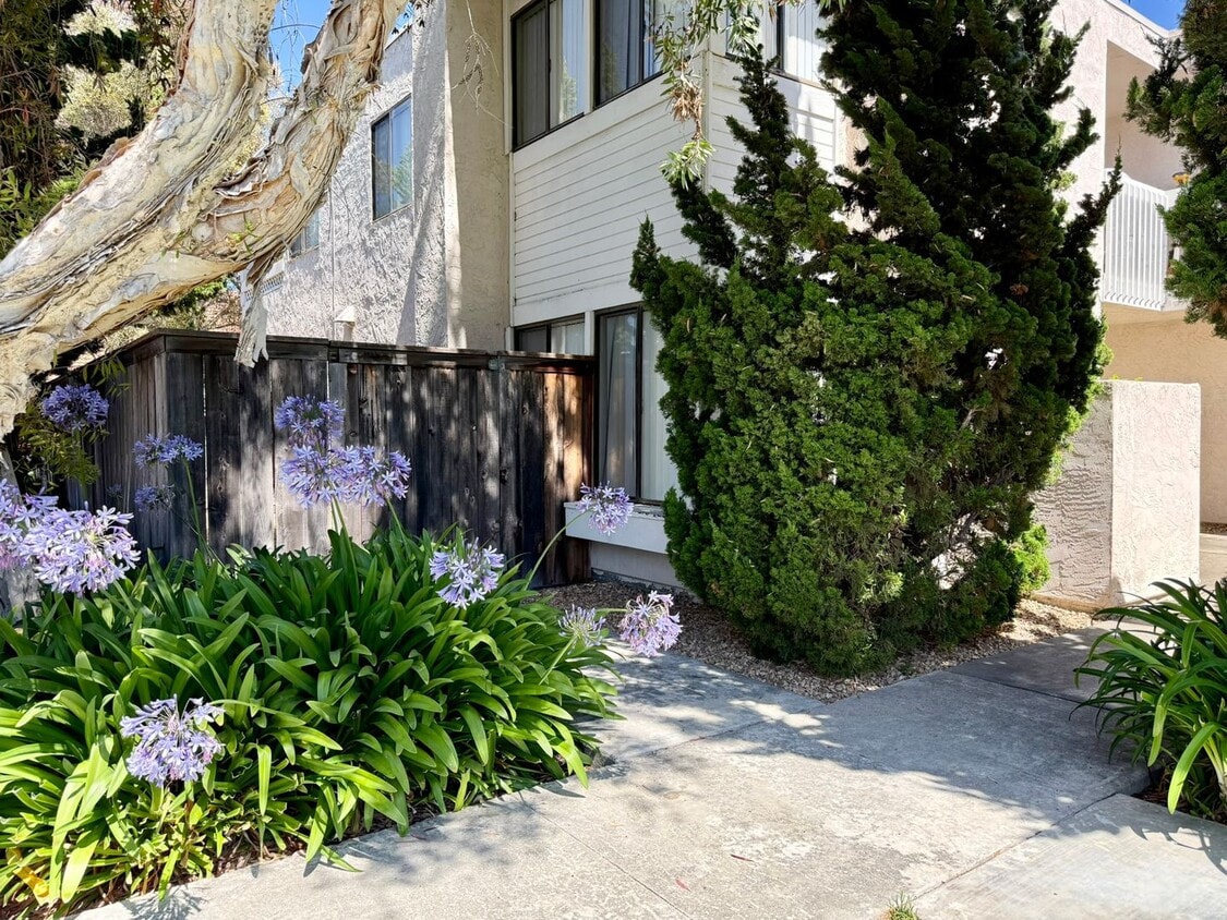 Primary Photo - Large Lower Unit w/ Fenced Backyard!