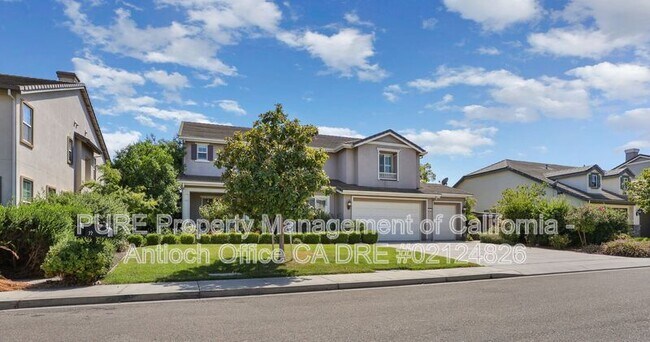 Building Photo - 79 Bottlebrush Ct
