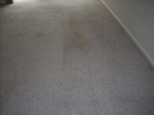 Foto del edificio - 4025 Briar Hollow Dr