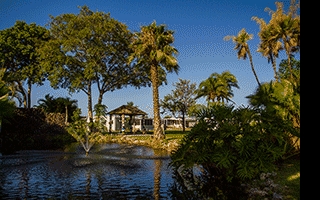 Primary Photo - Hawaiian Village