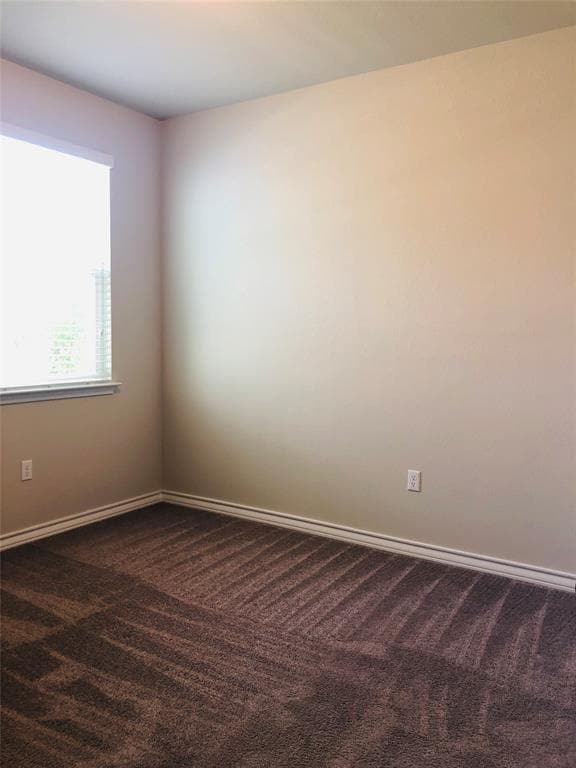 Building Photo - 5315 Golden Canary Ln