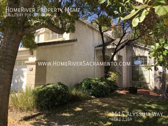 Building Photo - 1514 Alyssum Way
