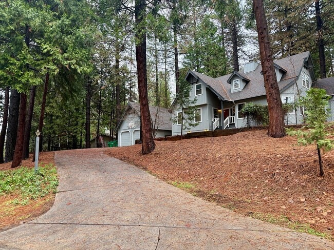 Building Photo - 11551 Forest View Dr