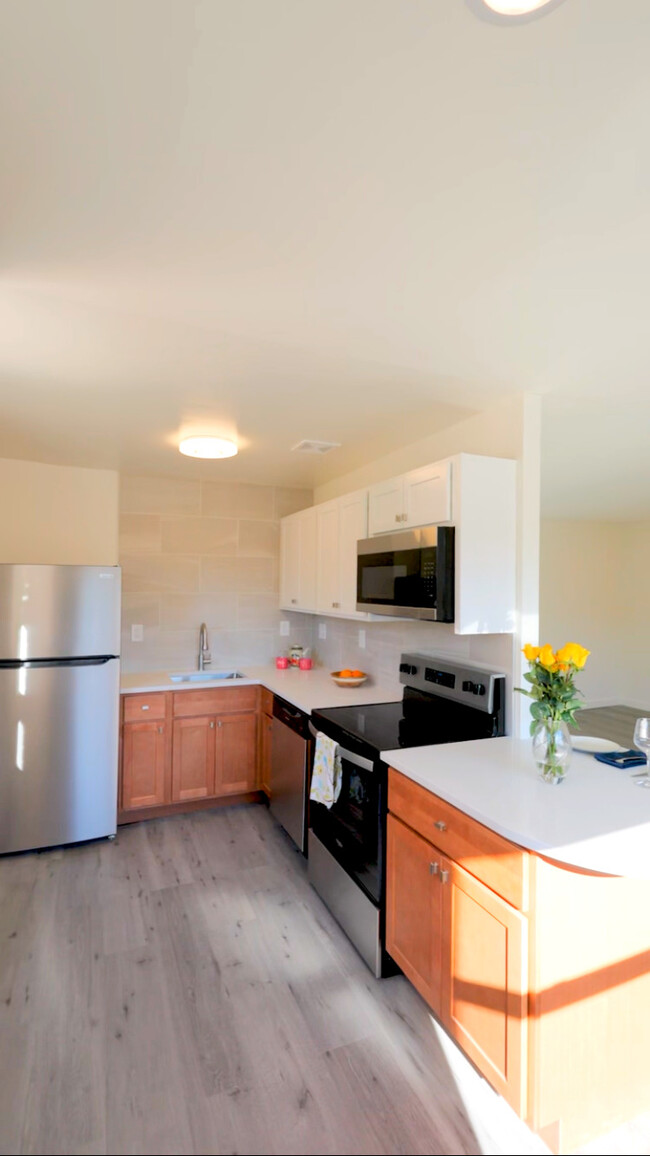 Modern Kitchen - Tremaine Place