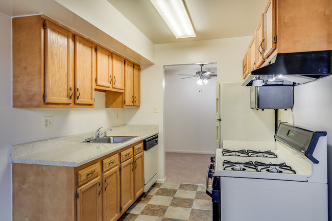 Shady Grove Apartments - Apartments in Derwood, MD | Apartments.com