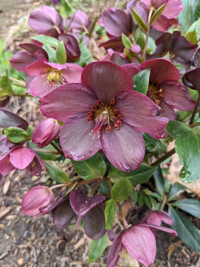 Foto del edificio - 8970 E Gull Lake Dr