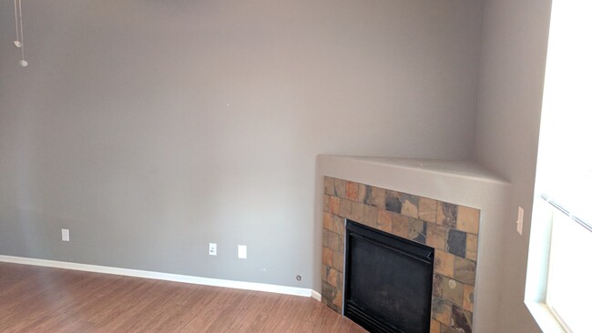 Fireplace - 157 S McGregor Cir