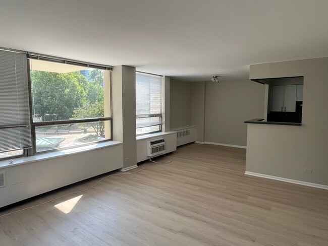 Building Photo - 1360 N Sandburg Terrace